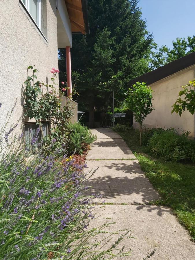 Sadrvan Una Apartment Bihać Eksteriør bilde